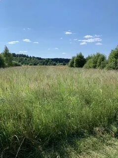 Д кукушкино