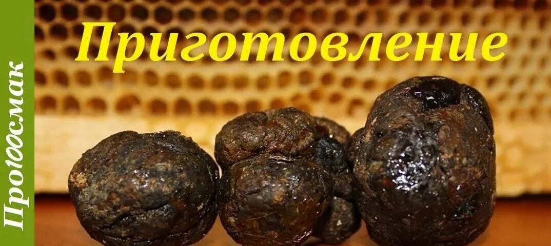 Прополисное масло желудка. Прополис от язвы желудка. Прополисный эликсир для жкт. Прополис от язвы желудка. Прополис от желудка.