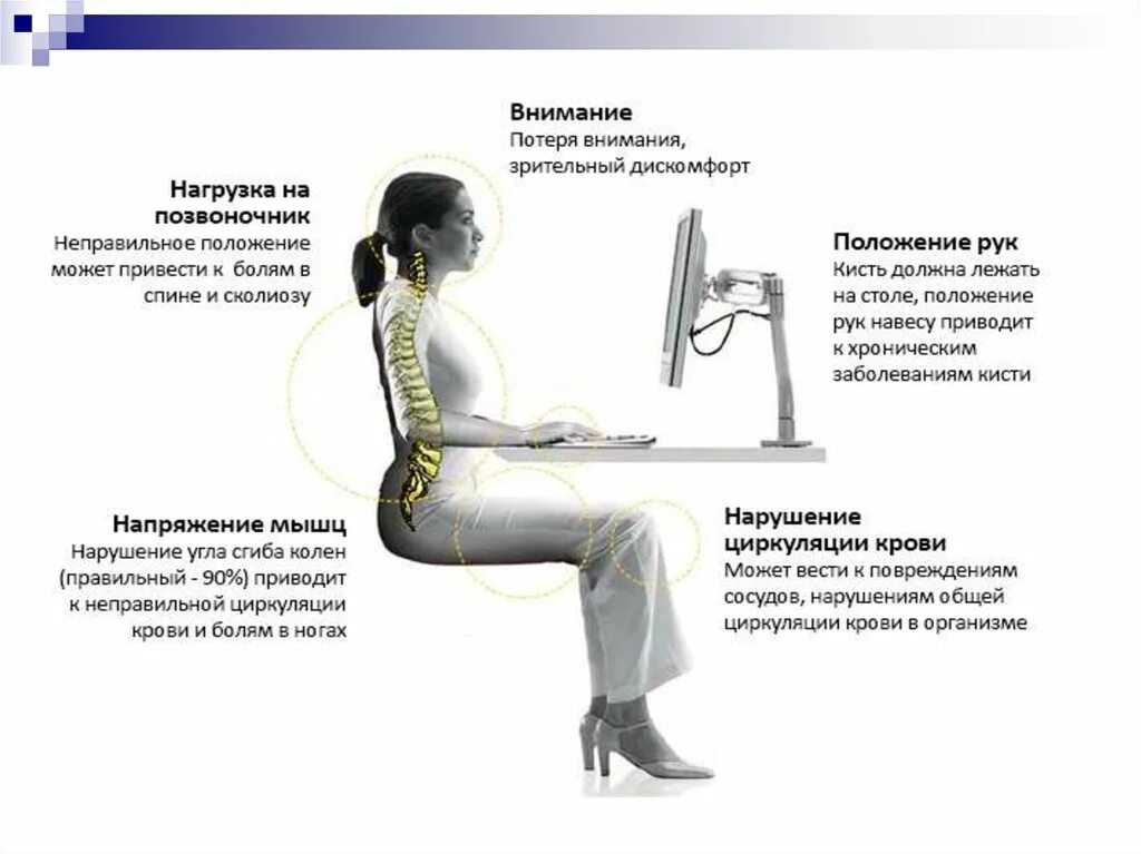 Стул болит поясница. Правильное положение спины сидя. Правильное положение позвоночника сидя. Правильное положение для сидячей работы. Положение позвоночника в сидячем положении.