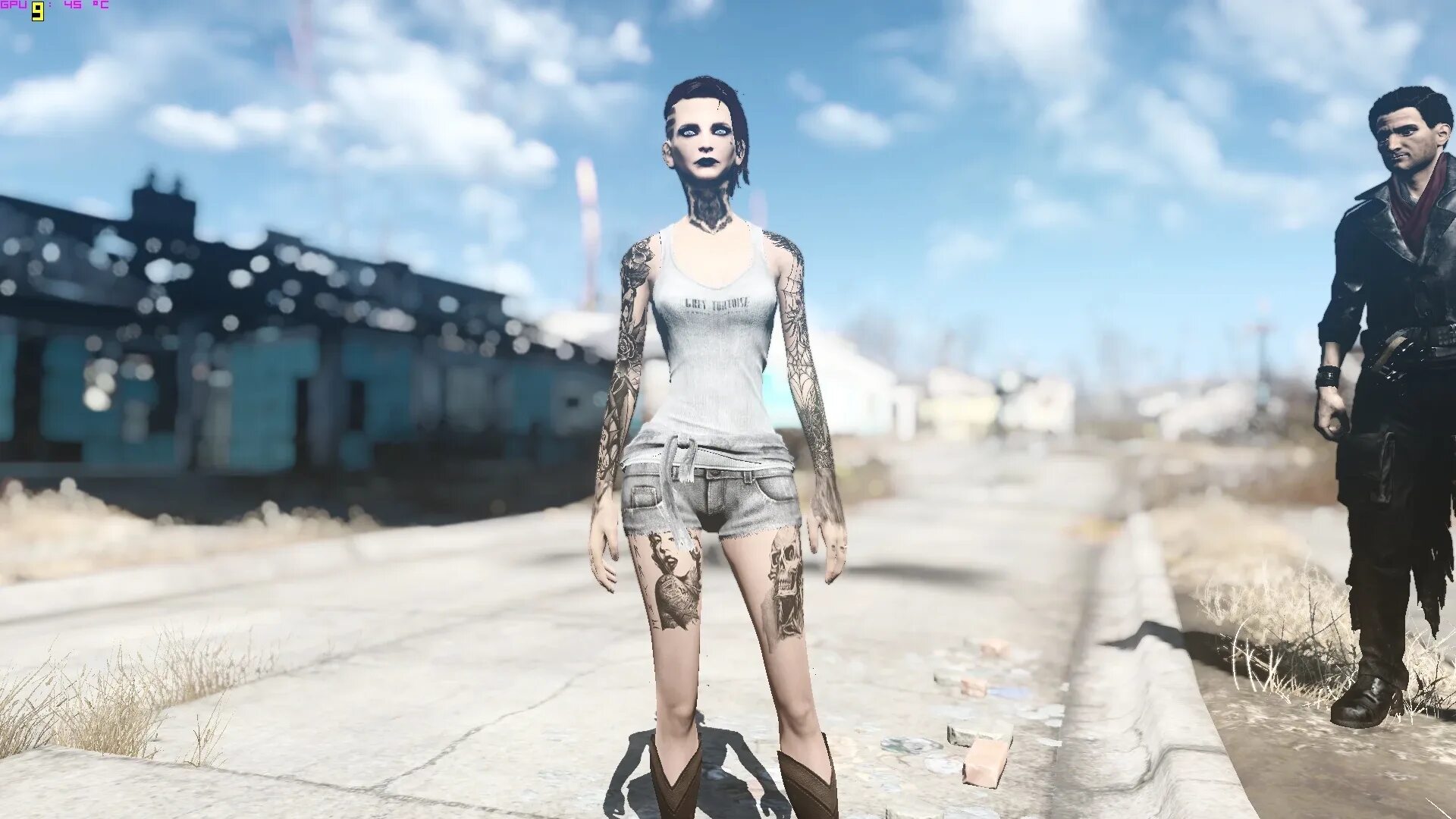 Fallout 4 body. Fallout 4 мод Татуировки для женщин. Unique player