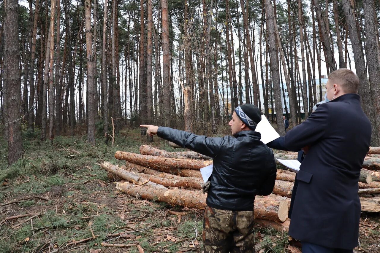 Фонд защиты лесного фонда