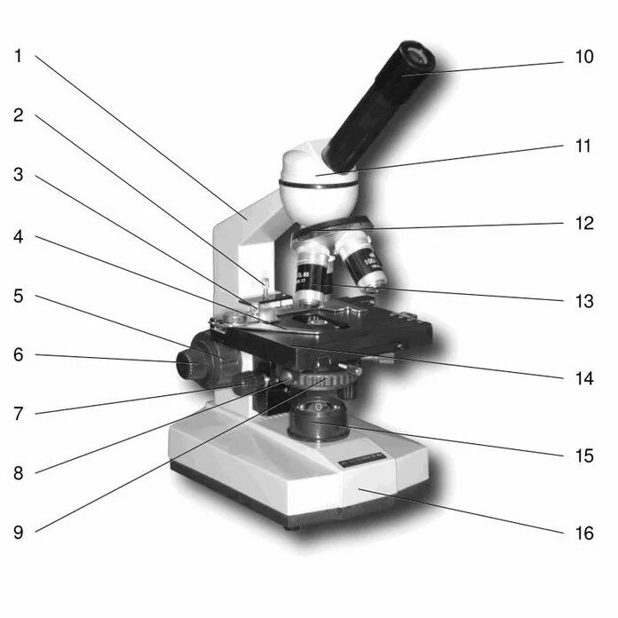 Цифровой микроскоп строение с подписями и названиями. Внешний вид микроскопа Биомед 2. Микроскоп строение микроскопа х8. Световой микроскоп Биолам строение. Строение микроскопа Биомед 2.