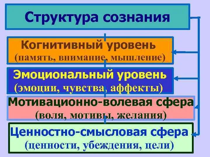 Структурно-логическую схему «структура сознания».. Компоненты структуры сознания в психологии. Какова структура сознания в философии. Каковы элементы структуры сознания философия. Функции человеческого сознания