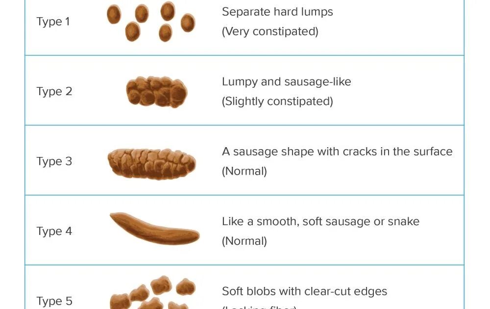 Какого цвета нормальный кал у человека. Бристольская шкала кала Тип 2. Бристольская шкала стула 1 Тип. Бристольская шкала формы кала норма. Бристольская шкала стула овечий кал.