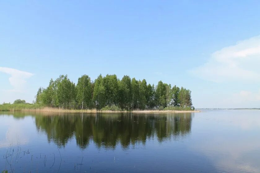 Деревня спицино. Сосно псковская область. Сосно. Деревня спицино. Сосно псковская область.