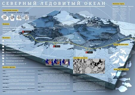 Глубина северо ледовитого