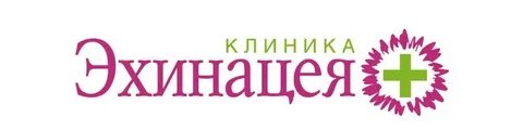 Эхинацея верхняя красносельская ул 1