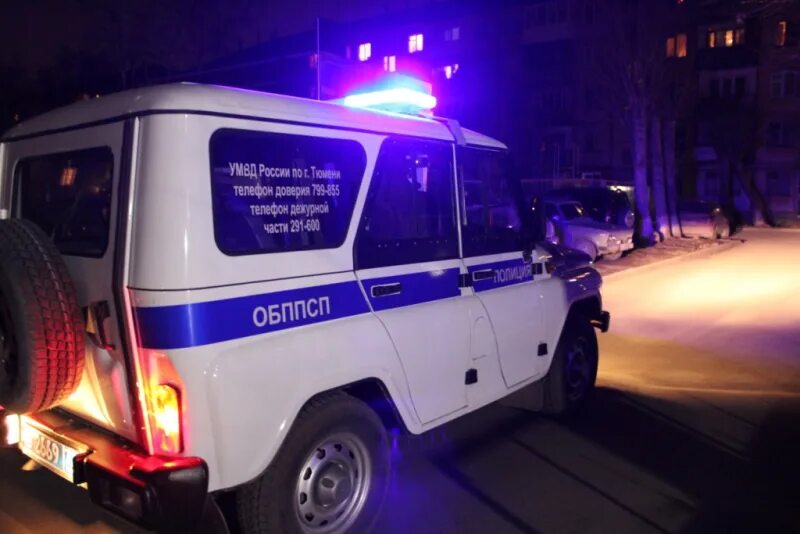 Уаз патриот полиция ппс. Уаз 31514 ппс. Уазик ппс ночью патриот. Ппс вечером. Экипаж ппс.