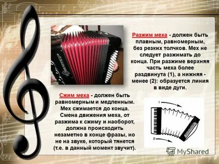 Какой музыкальный инструмент сопровождает песню баяна
