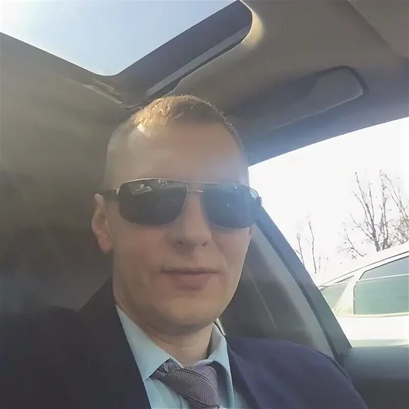 Ястреб фамилия. Фамилия ястреб. Фамилия ястреб. Фамилия ястреб. Фамилия ястреб.