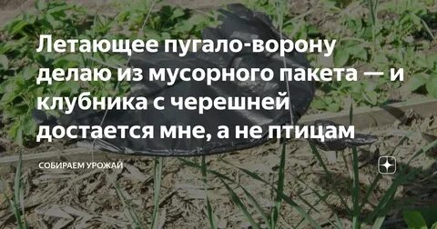 В огороде летал