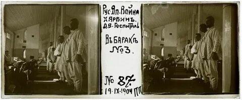 1905 год выставка