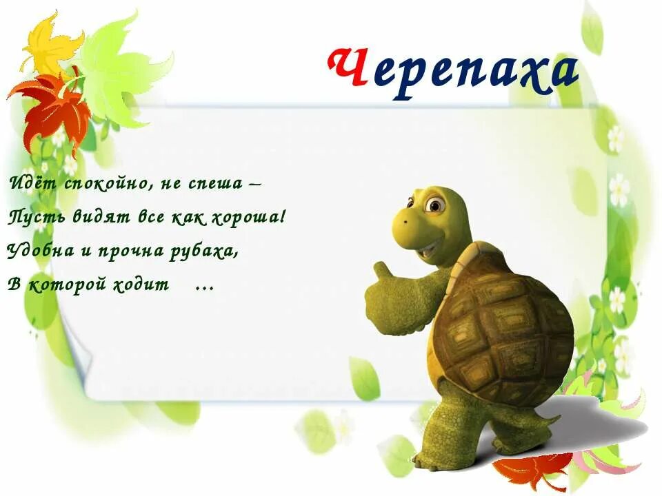 Черепаха ходит. Черепашка торопится. Черепашонок идёт. Черепаха не спешит. Не спеша или неспеша как правильно