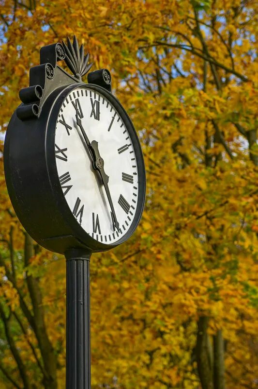 Часы в парк. Часы на опоре 1. Часы парковые металлические на столбе. Парковые часы. Старинные башенные часы.