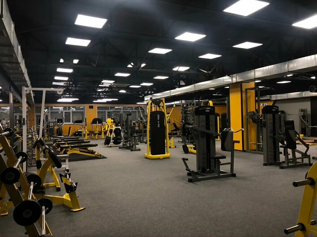 Фитнес клуб голд джим. Extreme gym благовещенск. Джим благовещенск. Gold gym благовещенск. Bb gym благовещенск.