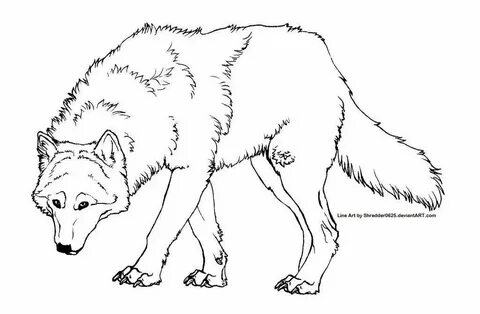 Line wolf