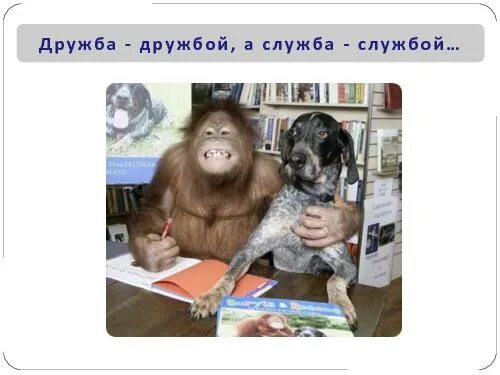 Дружба дружбой а служба службой картинки. Когда так говорят за добро добром платят. Дружба дружбой а служба. Верна ли пословица дружба дружбой а служба службой. Дружба дружбой а служба службой картинки.