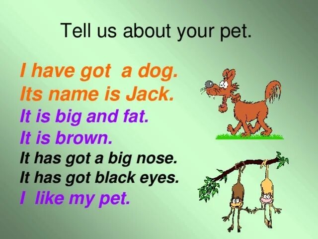 Английский have got. Животных по английскому. Описание животного на английском. Have has в английском. Tell me you can do this
