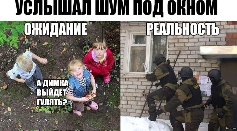 Больше не выйдет гулять. Выйдешь гулять. Саша выходи гулять. Пс парень мем. Смешные картинки про собак с надписями.