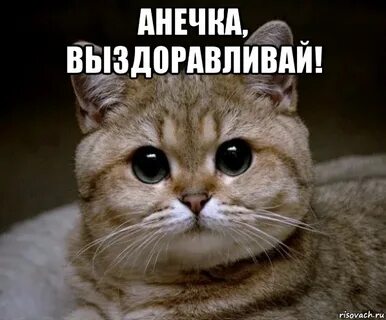 Ане выздоровления