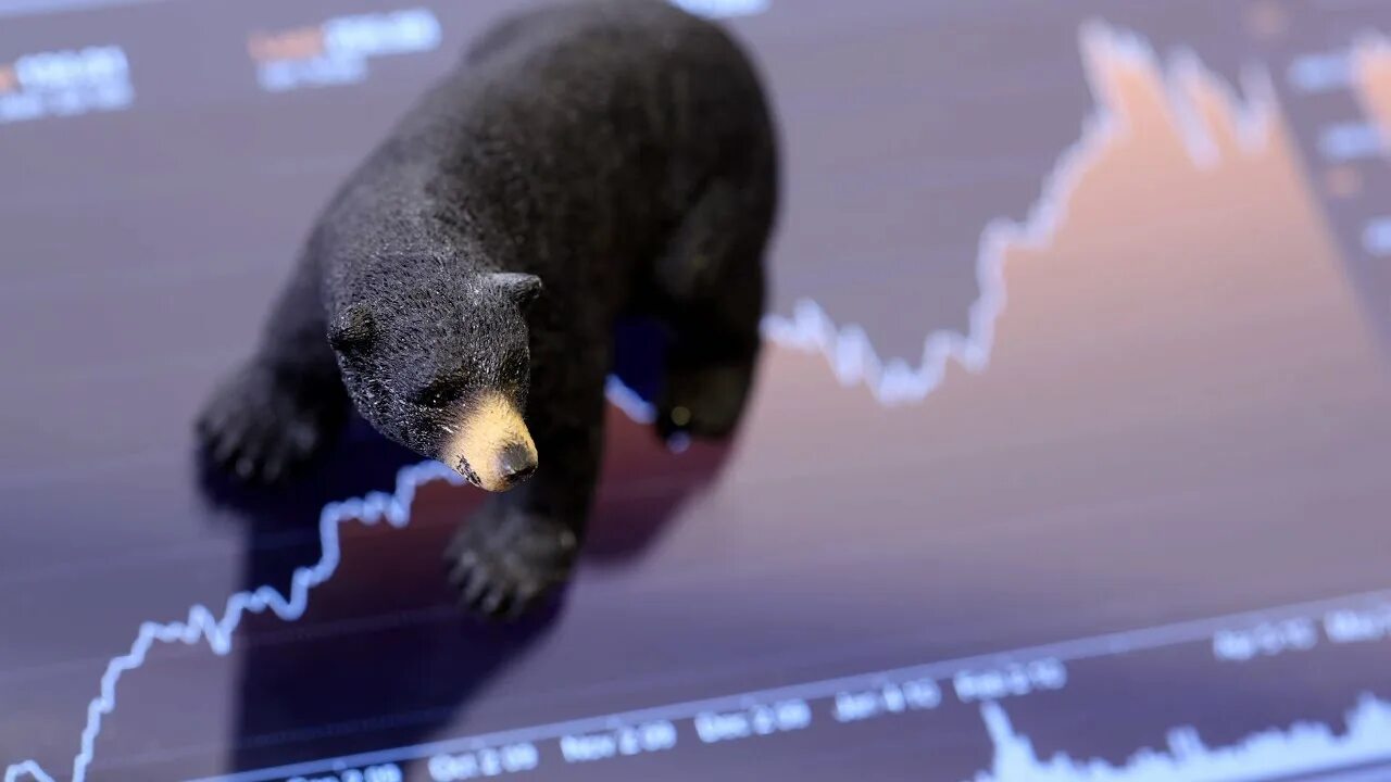 Биткоин медведь. Быки и медведи рынок лого. Медвежий рынок. Wojack bear market. Bear market mem.