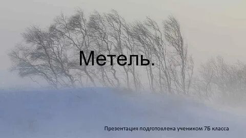 Мужской род метели
