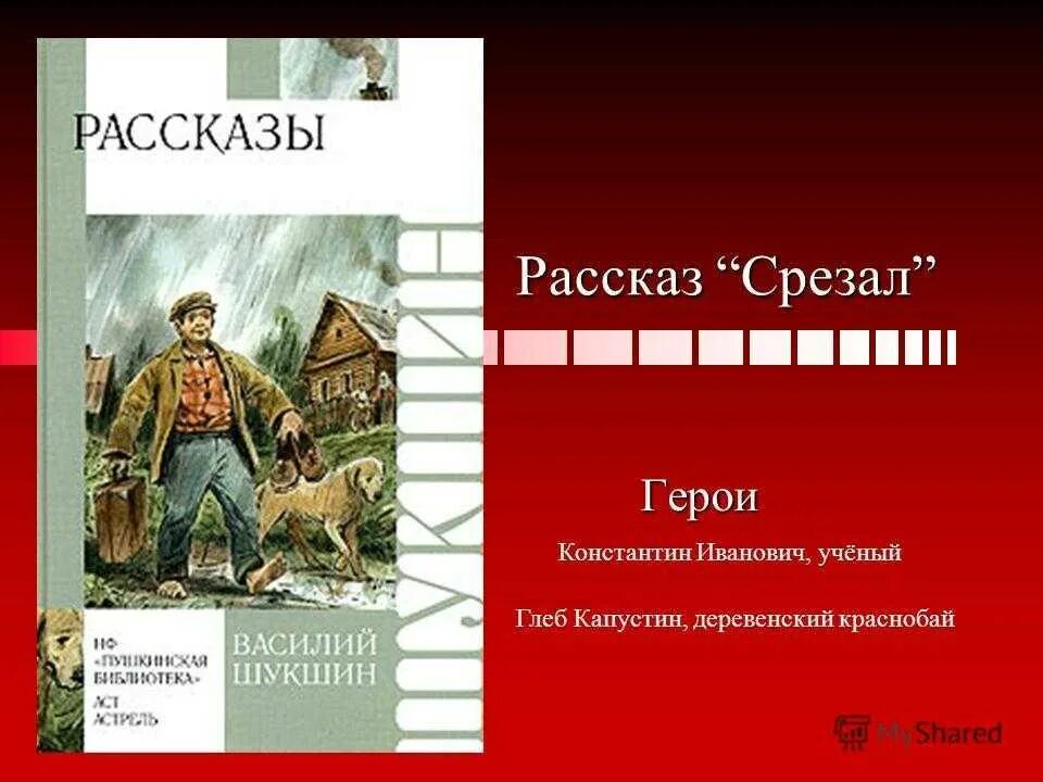 Чтение рассказов шукшина. Рассказ срезал.