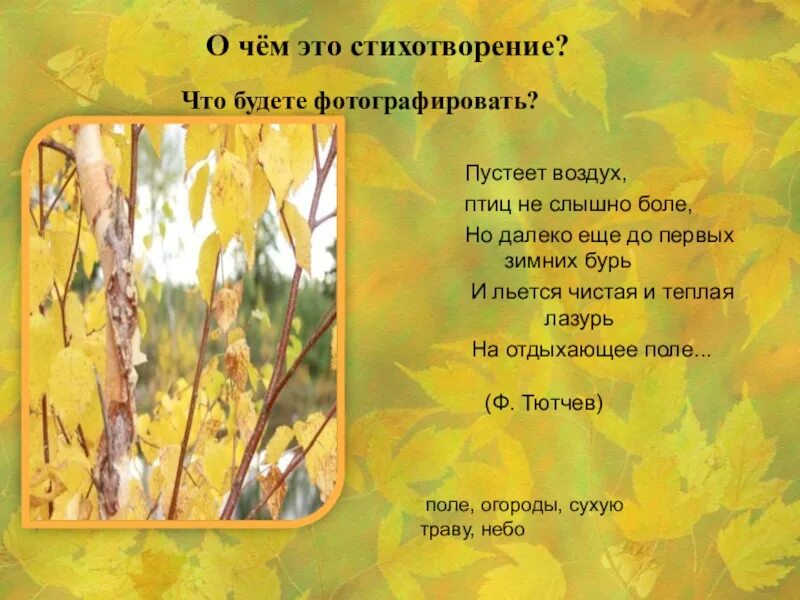 Птиц не было слышно потому что. Пустеет воздух птиц. Стихотворение пустеет воздух птиц. Пустеет воздух птиц не слышно. Пустеет воздух птиц не слышно боле но далеко еще до первых зимних бурь.