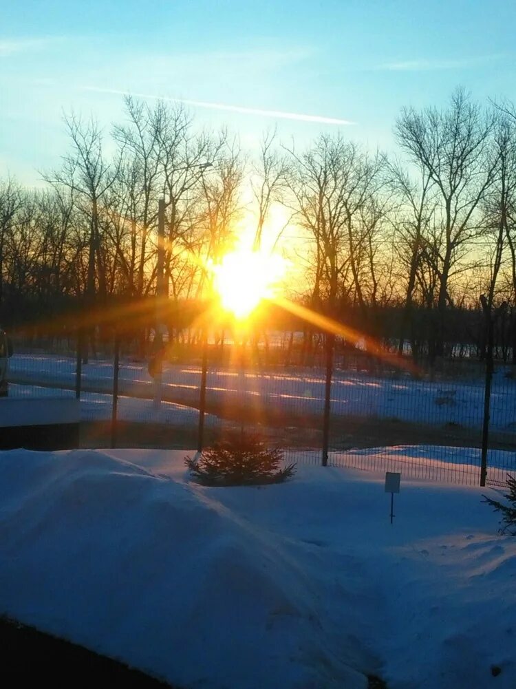 Весна солнце. Весна апрель солнце. Зимний рассвет. Весеннее солнце. Весна солнце.