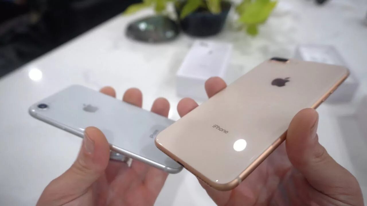 Айфон 8 выпуск. Iphone 8 Plus. Iphone 8 Gold. Iphone 8 Plus серебристый. Iphone 8 Plus золото.