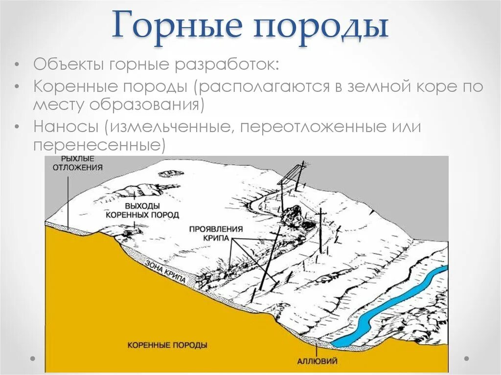 Разновидности объектов. Хвойные и лиственные породы деревьев. Основные породы объекта. Хвойные и лиственные породы древесины. Наносы и коренные породы.