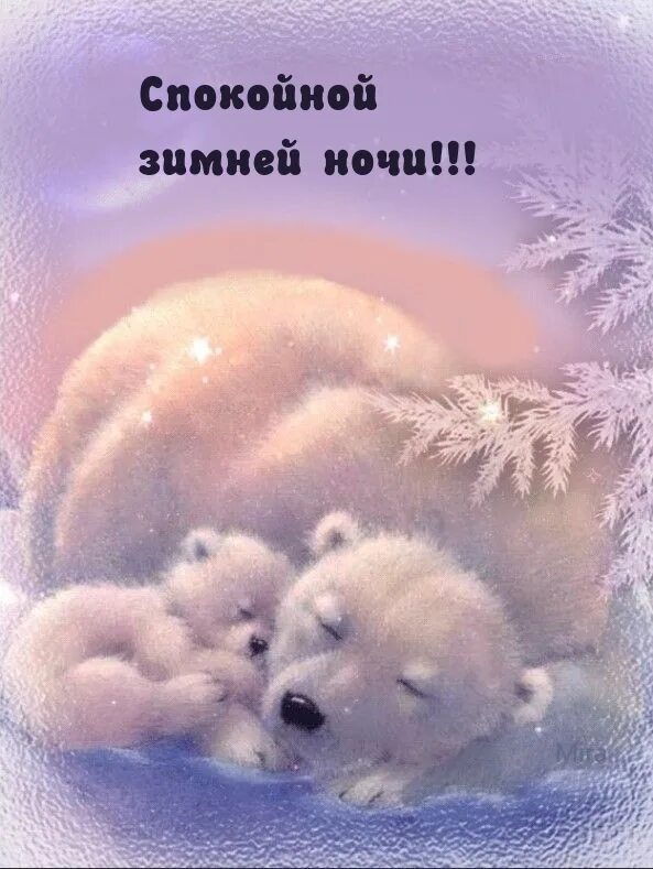 Спокойной доброй ночи зимы. Спокойной доброй ночи зимы. Пожелания спокойной ночи. Зимняя ночь. Доброй зимней ночи.