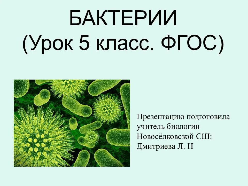 Бактерии 5 класс. Бактерии презентация. Бактерии проект. Тема бактерии 5 класс биология. Урок по фгос биология 6