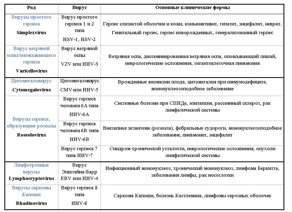 Вирус герпеса 6 типа заболевание. Классификация вируса герпеса 1 типа. Вирус простого герпеса 1 и 2 типа проявление. Вирус простого герпеса 1 и 2 типа разница. Human herpes