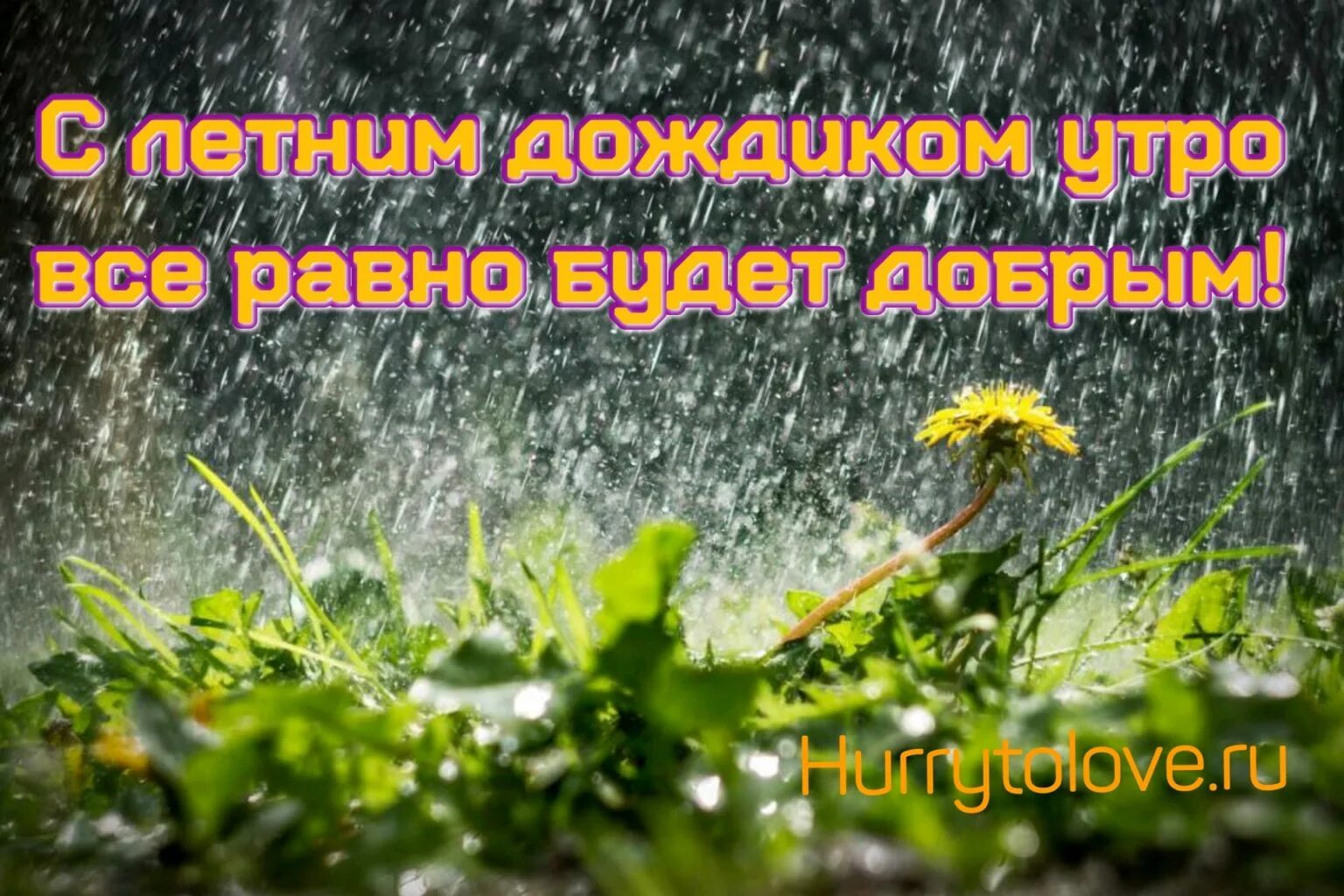 Доброе дождик. Доброе дождливое утро. Сдобрым дождливый утром. С добрым утром летний дождик. С добрым дождливым утром картинки.