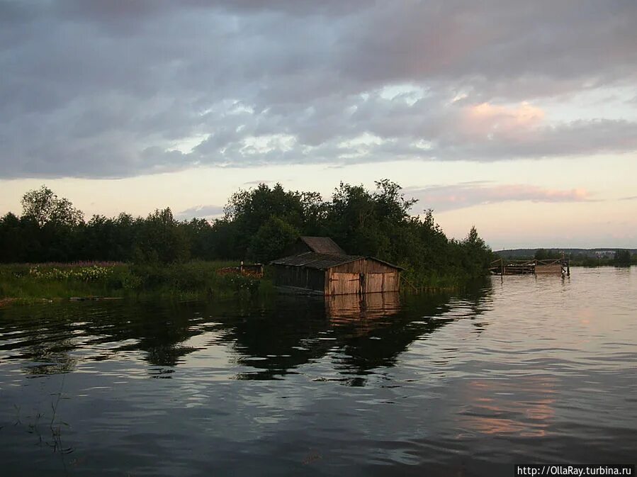 Боровно озеро окуловский. Заозерье новгородская область. Заозерье новгородская область. Озеро заозерье новгородская область. Озеро заозерье новгородская область.