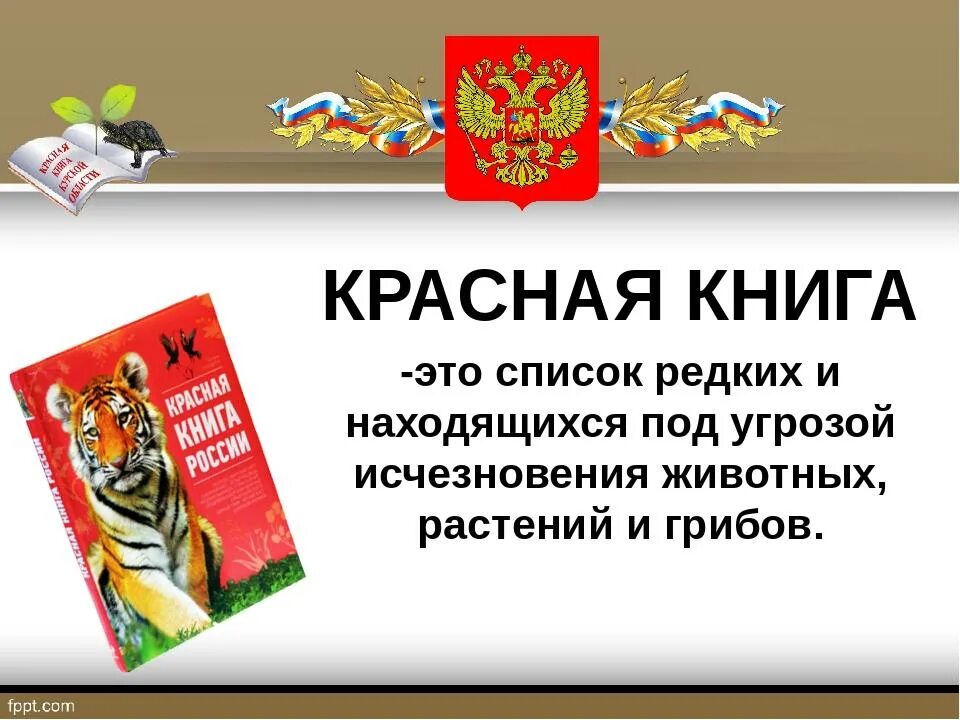 Проект красная книга 2 класс окружающий мир. Проект красная книга. Проект красная книга 2 класс. Проект по окружающему миру красная книга. Сделать красную книгу окружающий мир