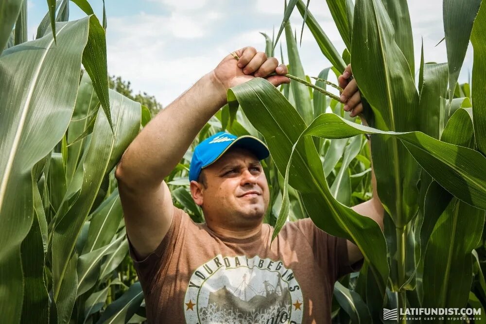Агроном в поле. Агроном профессия. Щербаков агроном. Агроном отзывы. Агроном профессия.