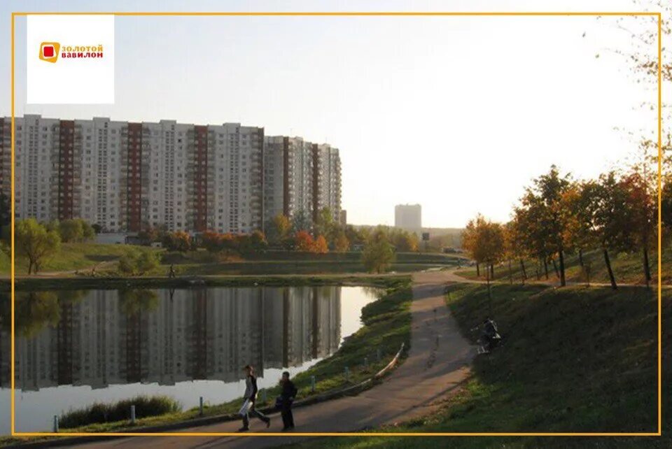 Ясенево отдых. Ясенево Эстетика. Ясенево озеро. Пруды в Ясенево Москва. Голубинский пруд Ясенево.