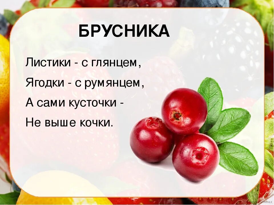 Лесные ягоды словами. Загадки про ягоды. Загадка про ягодку для детей. Загадки про ягоды для детей. Загадка про бруснику.