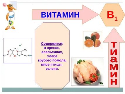 Мясо витамины содержит