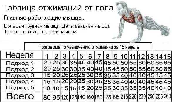 Схемы отжиманий от пола для накачки мышц. Упражнения по отжиманию от пола. Схема тренировок отжимания от пола. Отжимания схема упражнения. Как накачать за 1 неделю