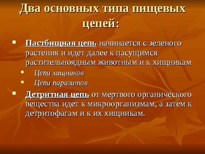 Два типа пищевых цепей. Типы пищевых цепей. Типы цепочек питания.