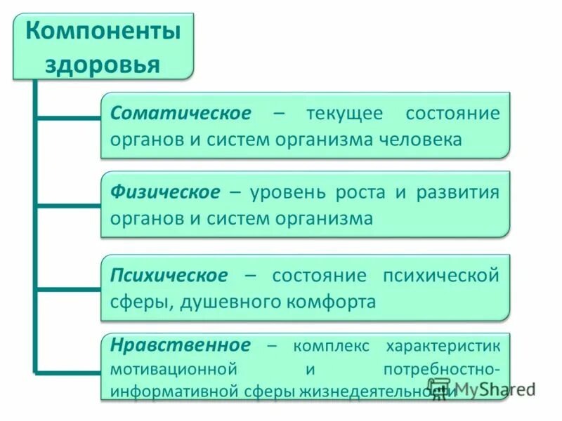 Назовите составляющие здоровья