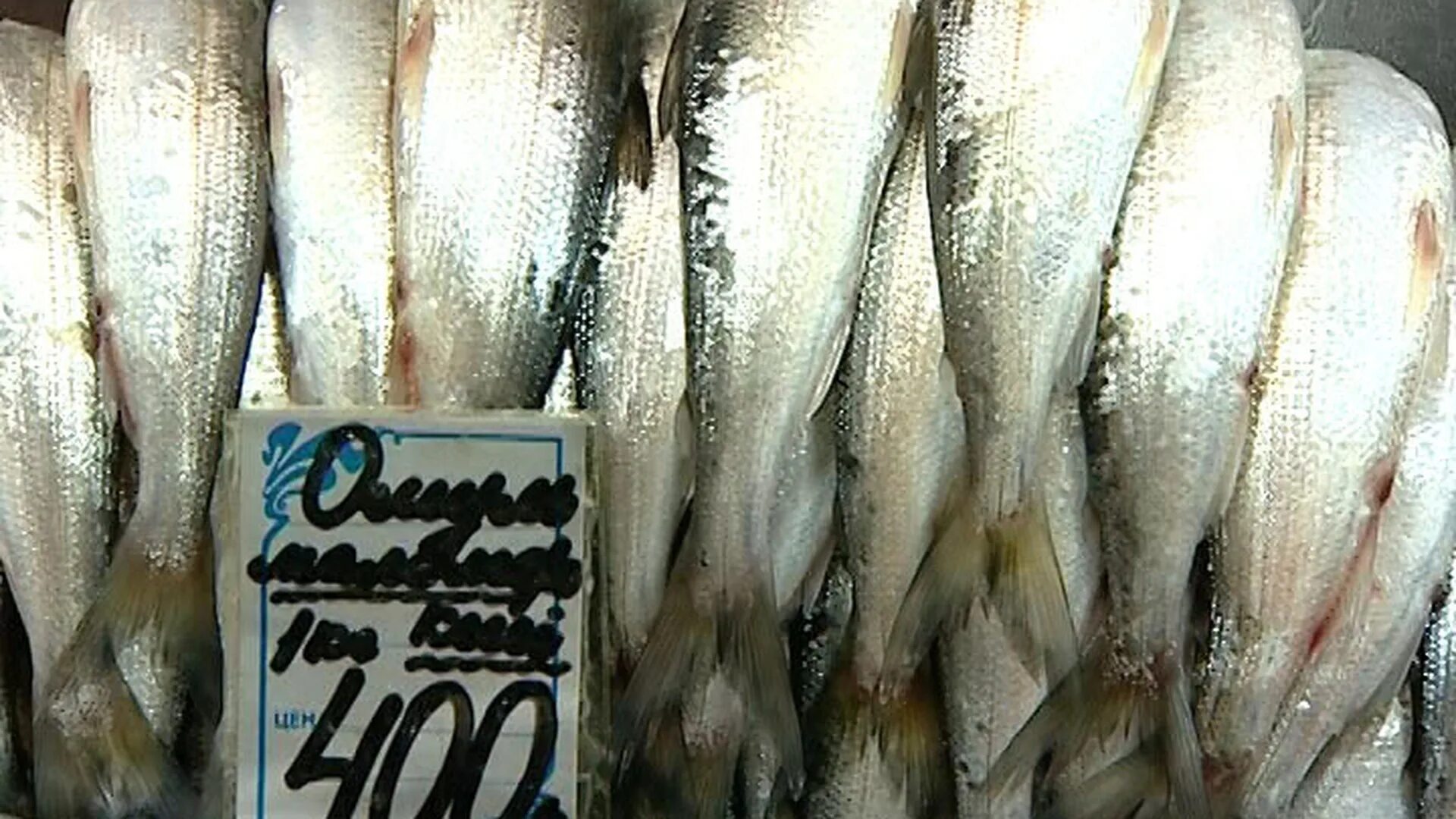 Купить рыбу в иркутске. Рыбный рынок Байкал. Омуль Байкальский. Рыбный рынок в Иркутске омуль. Улан Удэ рыбный рынок.