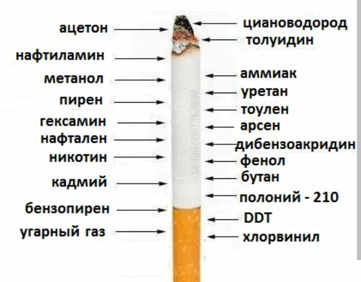 Правда ли сигареты вредны. Вредность курения. Курение вредит.