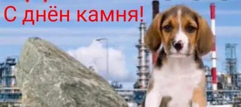День камня