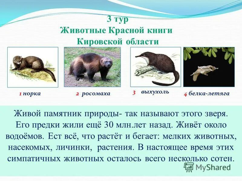 Животные и растения Красной книги Кировской области": экологический час. Доброво