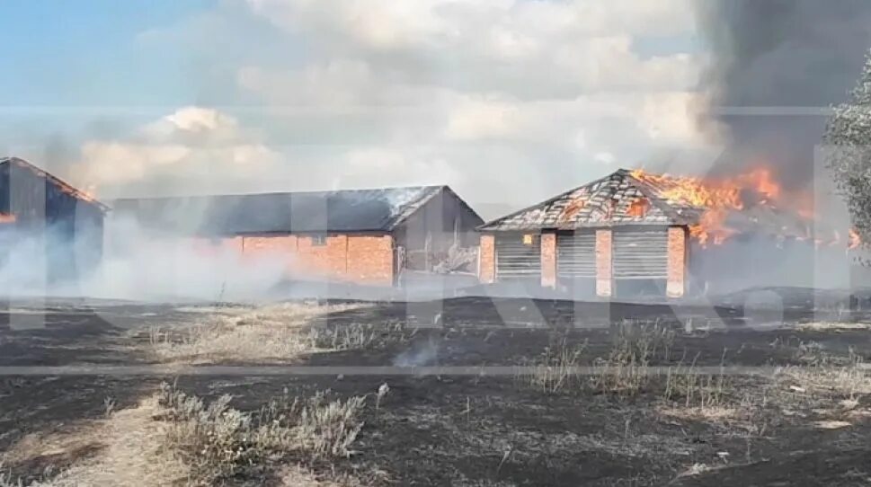 Мчс тушит лесные пожары. 08. 22. Пожар в славгороде алтайский край сегодня. Пожар в жаре канаш.