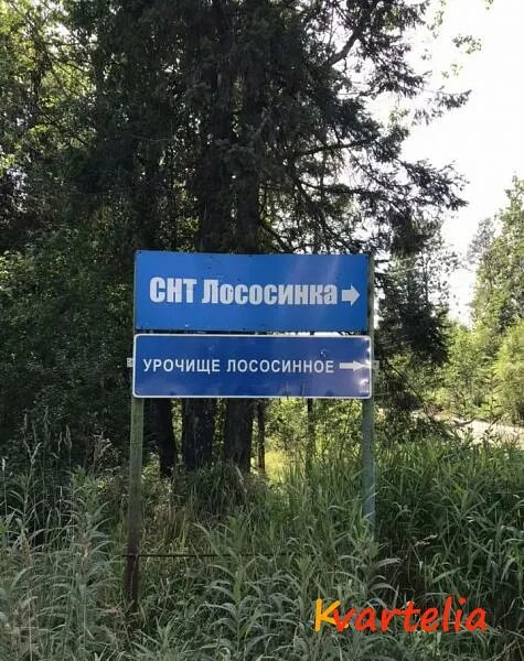 Мировой участок 12 петрозаводск. Мировой участок 12 петрозаводск. Сайнаволок петрозаводск. Гюллинга 11 петрозаводск мфц. Мировой участок 12 петрозаводск.
